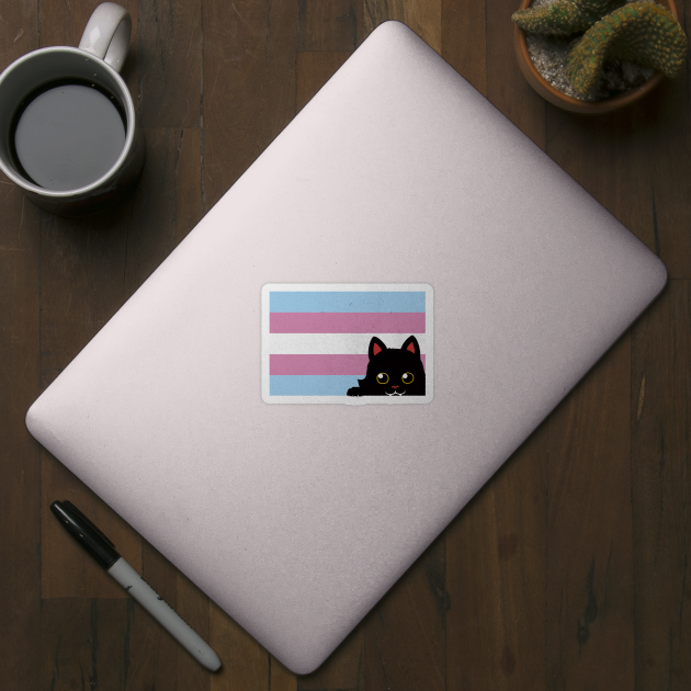 Peeking Cat Trans Flag by Tobe Fonseca by Tobe_Fonseca